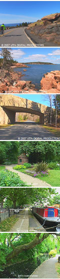 VITA THUMBNAILS